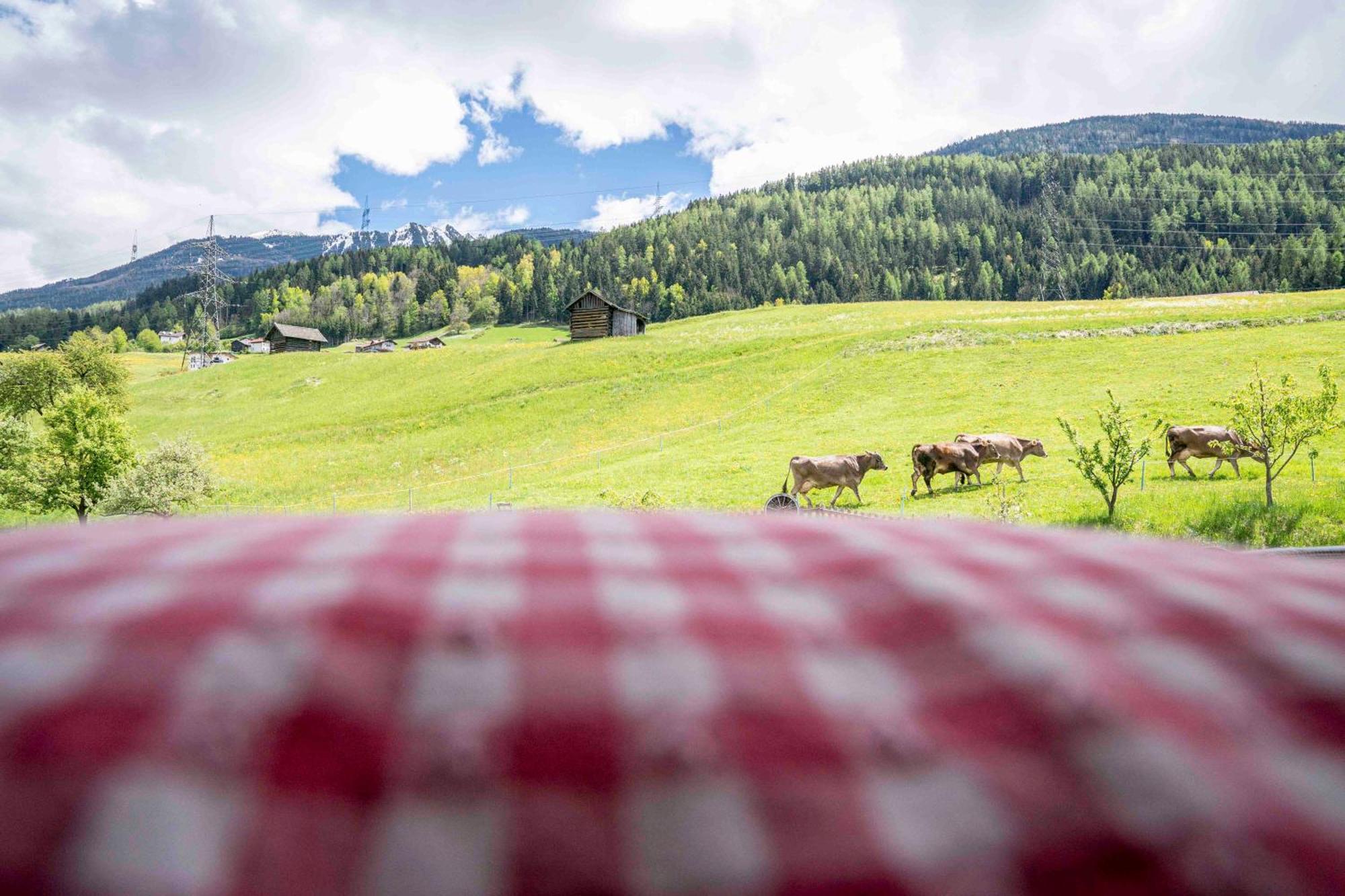 Kinderbauernhof Ierzerhof Arzl im Pitztal Luaran gambar