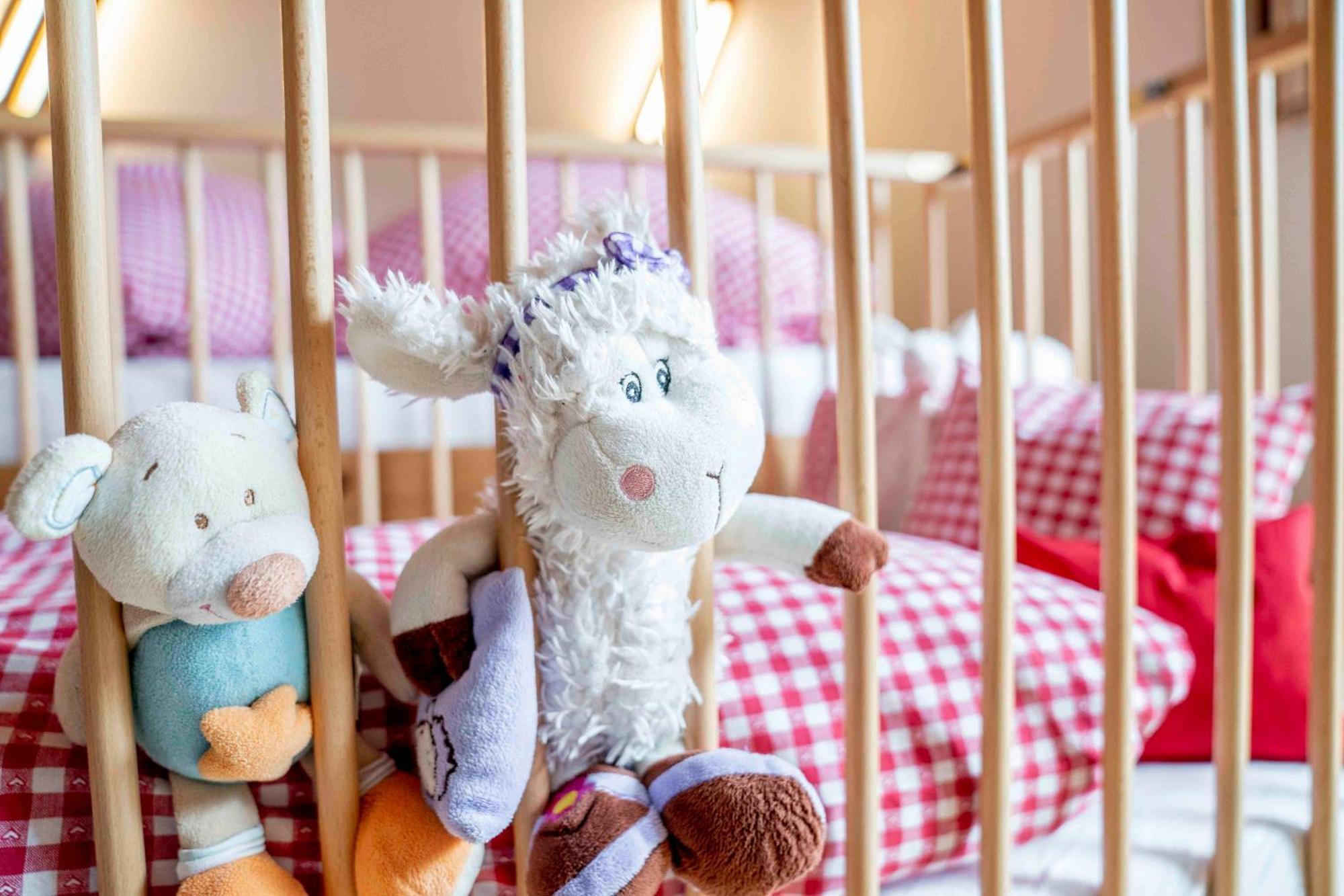 Kinderbauernhof Ierzerhof Arzl im Pitztal Luaran gambar